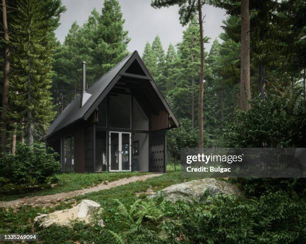modern forest house - log cabin stock pictures, royalty-free photos & images