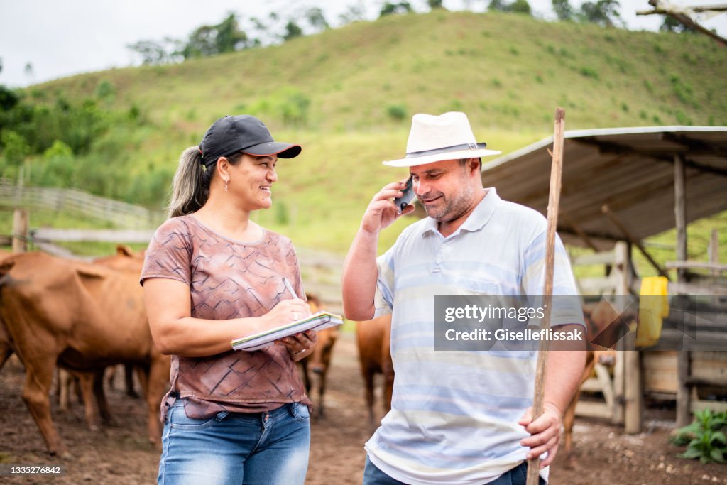 Lächelnder Farmmanager und Bauer arbeiten gemeinsam auf einer Rinderfarm