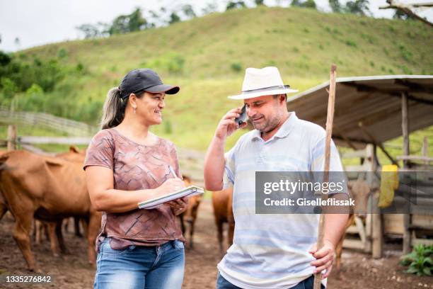 sorridente gerente de fazenda e agricultor trabalhando juntos em uma fazenda de gado - manada - fotografias e filmes do acervo