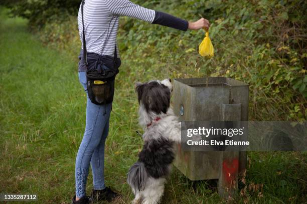 teenager putting a filled, biodegradable dog poop bag into a public waste bin in a rural area, whilst watched by a pet dog - cacca foto e immagini stock