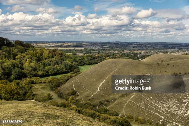 barton hills national nature reserve, barton-le-clay, bedfordshire, england - チルターンヒルズ ストックフォトと画像
