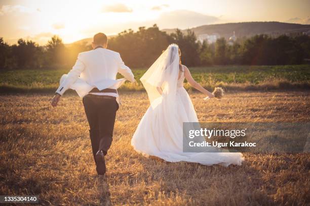 bellissimi giovani sposi fuori nel campo - bride couple foto e immagini stock