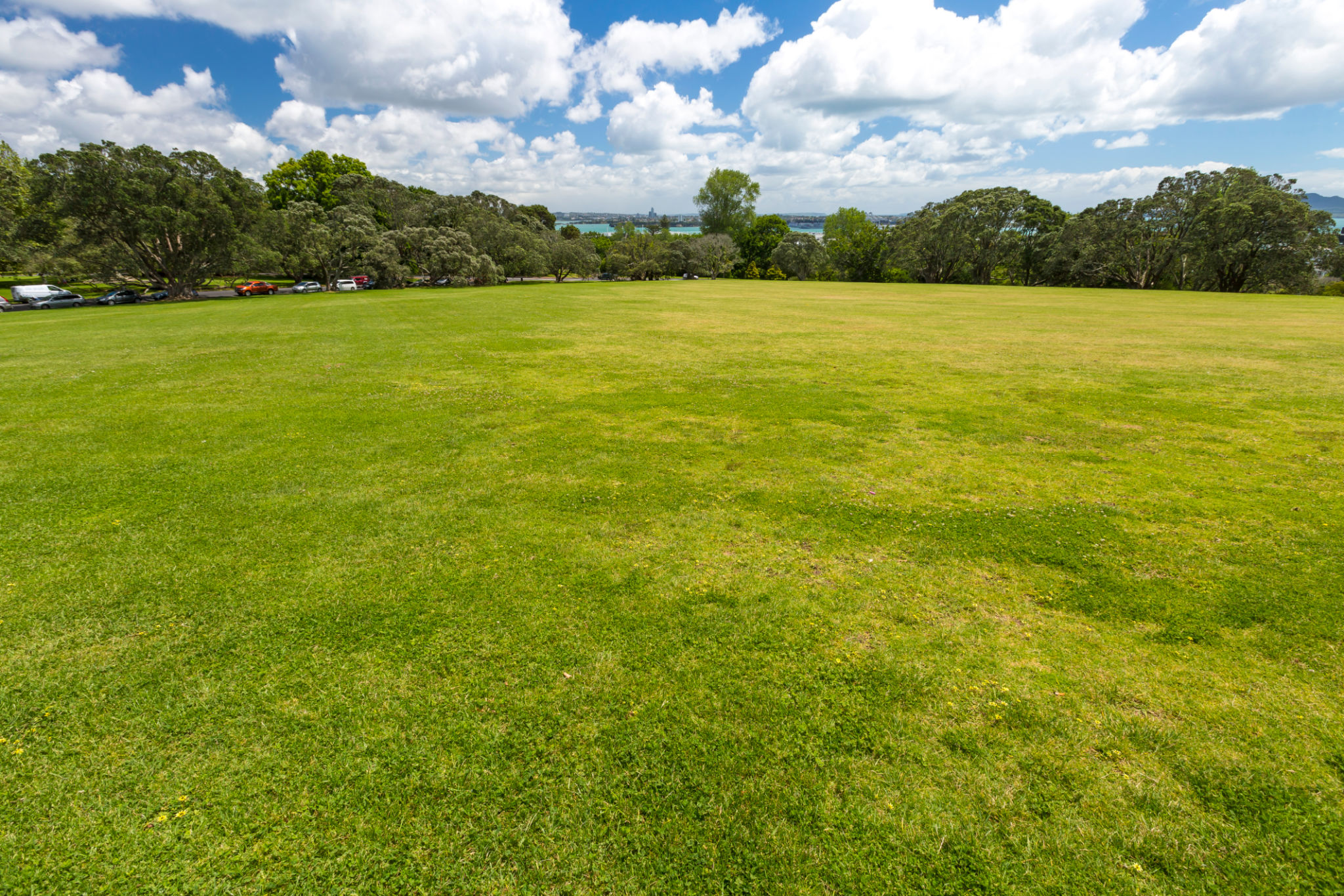 manukau lawn