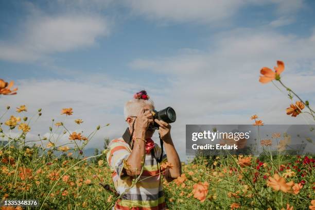 feeling like taking photo in heaven for standing among flower blooming - stock photo - old photographer imagens e fotografias de stock