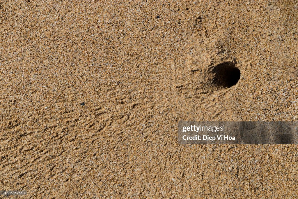 Sand textures in the sea