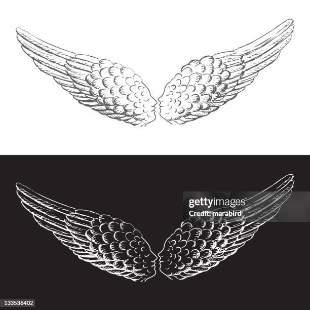 wings that kiss - spread wings stock illustrations
