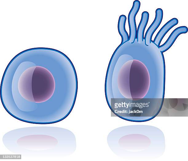 細胞 - 動物の細胞小�器官点のイラスト素材／クリップアート素材／マンガ素材／アイコン素材