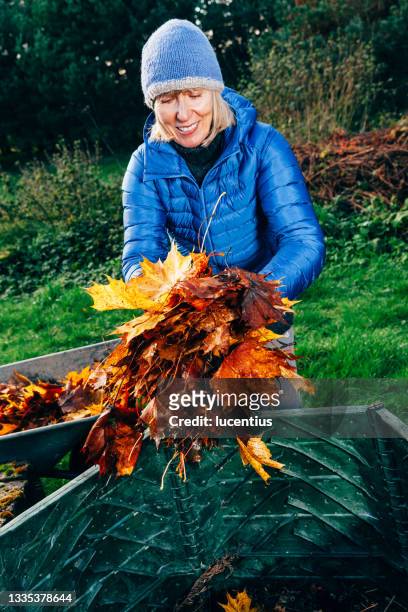 putting fall leaves in compost bin. - chilly bin stock pictures, royalty-free photos & images