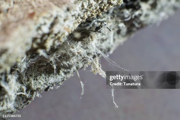 Detailed photography of constructional material with asbestos fibres. Health harmful and hazards effects.