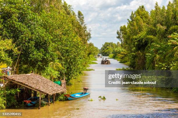 maritime traffic in the mekong delta (vietnam) - mekong delta stock pictures, royalty-free photos & images