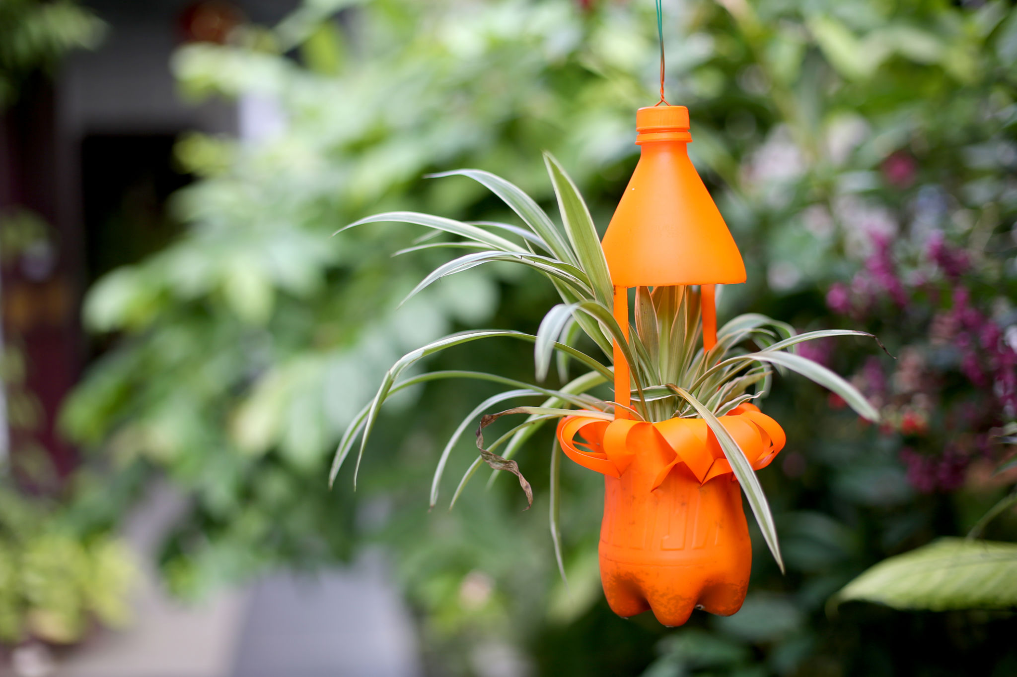 plastic bottle planter