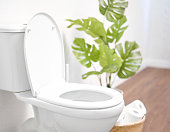 Modern toilet, great design for any purposes. Ceramic toilet bowl with toilet paper near light wall