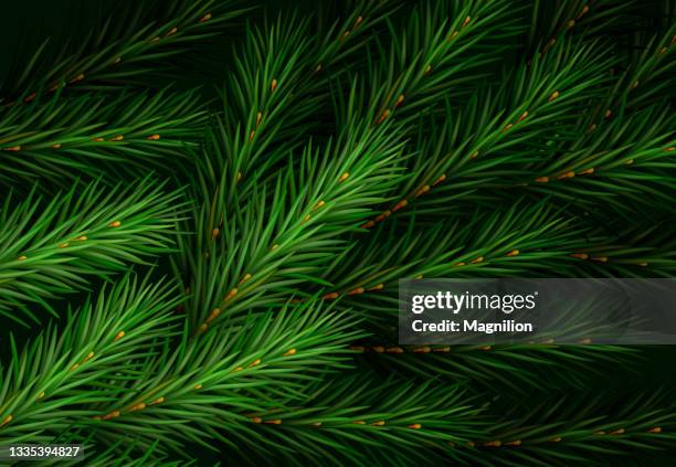 christmas tree green background - christmas tree close up stock illustrations