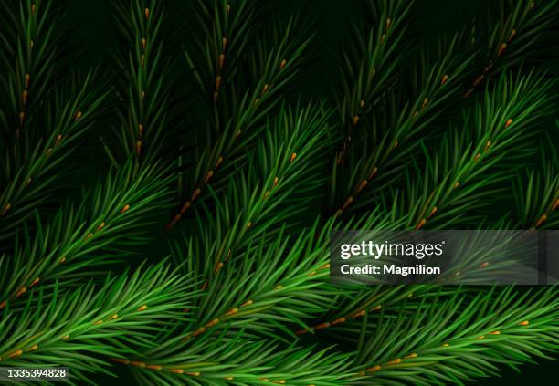 christmas tree green background - pine tree close up stock illustrations
