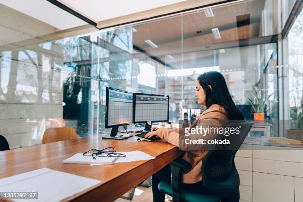 businesswoman at the office - banking 個照片及圖片檔