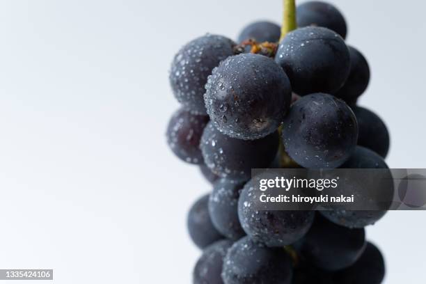 grape - ぶどう ストックフォトと画像