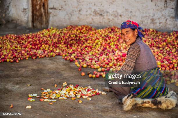 tibetan woman sorting and cutting apples, upper mustang, nepal - nepal food stock pictures, royalty-free photos & images