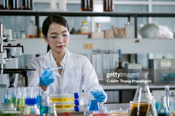 changing the future one experiment at a time - pathologist stock pictures, royalty-free photos & images