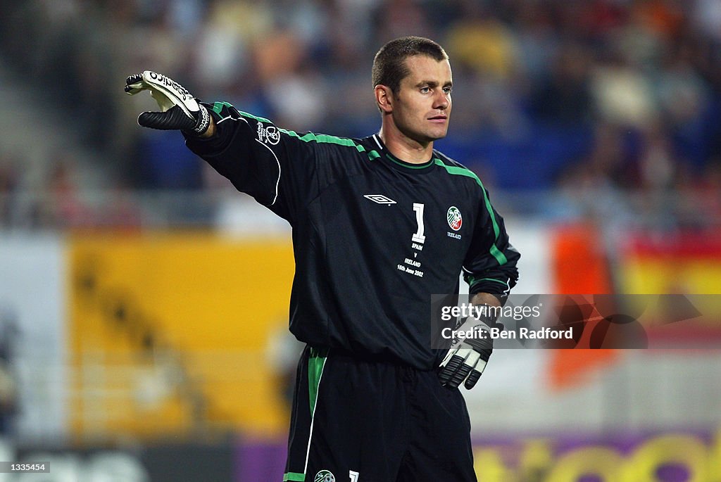 Shay Given of the Republic of Ireland