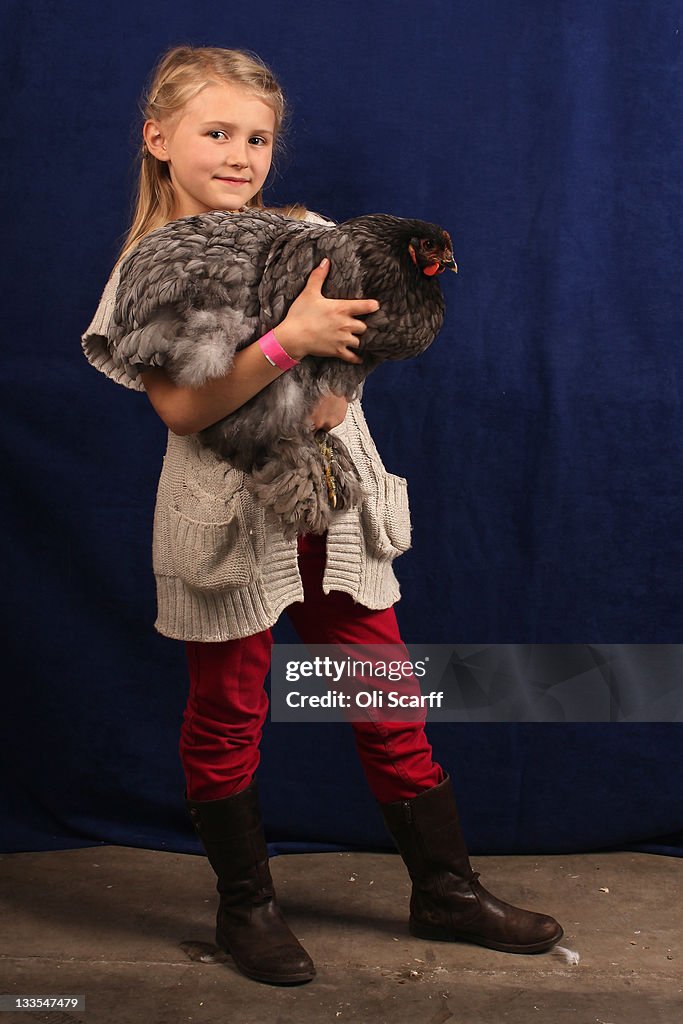 Enthusiasts Participate In The National Poultry Show