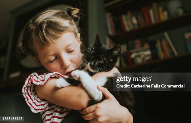 a young girl hugs a kitten tightly - kid with cat stock-fotos und bilder