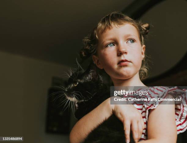 portrait of a child holding a black kitten - clingy cat stock pictures, royalty-free photos & images