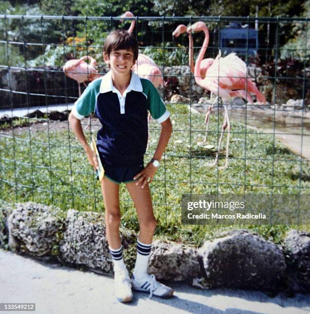 boy with flamencos in seventies - orlando florida vacation stock pictures, royalty-free photos & images