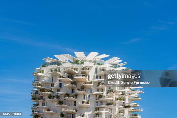 73 Arbre Blanc Montpellier Stock Photos, High-Res Pictures, and