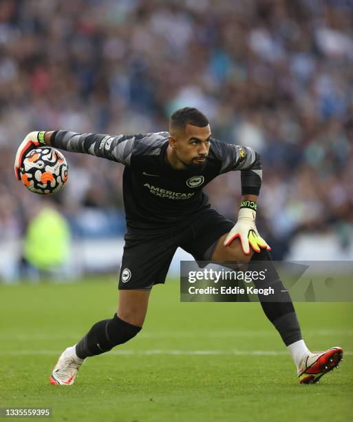 Goalkeeper Robert Sanchez of Brighton & Hove Albion in action during the Premier League match between Brighton & Hove Albion and Watford at American...