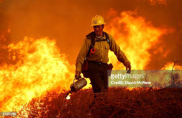 Forest Service firefighter uses a drip torch to set a backfire on the Los Coyotes Indian Reservation to fight a fire rushing through upper Borrego...