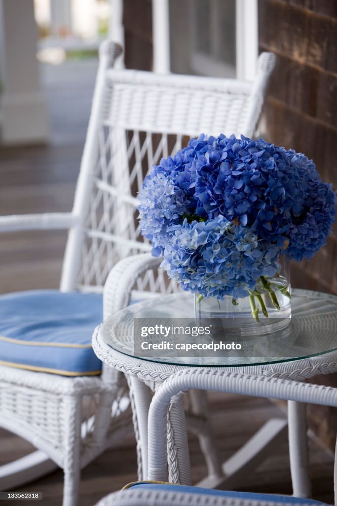 En osier et bleu Hortensia sur un porche