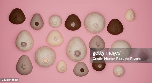 3d image of multiethnic breasts on pink background, breast cancer concept - seno fotografías e imágenes de stock