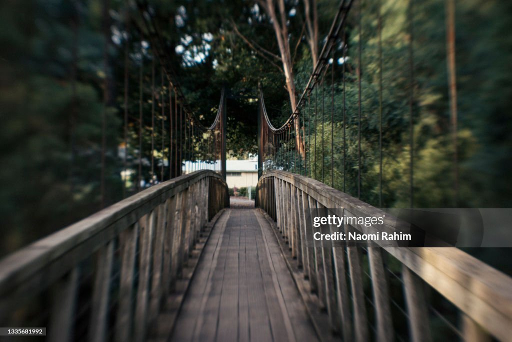 Rustic timber suspension bridge in lush forest, tilt-shift view