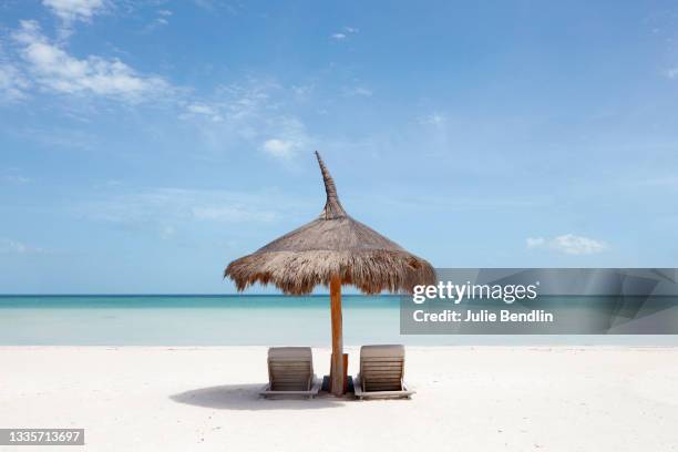 beach chairs and umbrella on a tropical beach in mexico - isla holbox stock-fotos und bilder