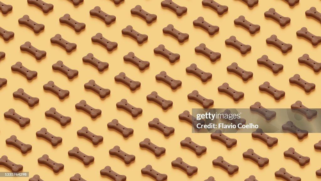 Dog snack pattern background