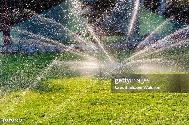 sprinkler spraying lawn - watering lawn stock pictures, royalty-free photos & images