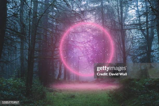 a fantasy concept. of a glowing neon portal. glowing in a mysterious misty forest in winter. - magie stock-fotos und bilder