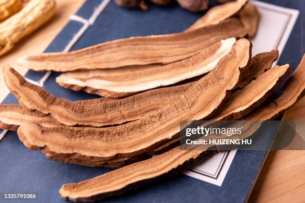 dried lingzhi mushroom - dry herbs stock pictures, royalty-free photos & images