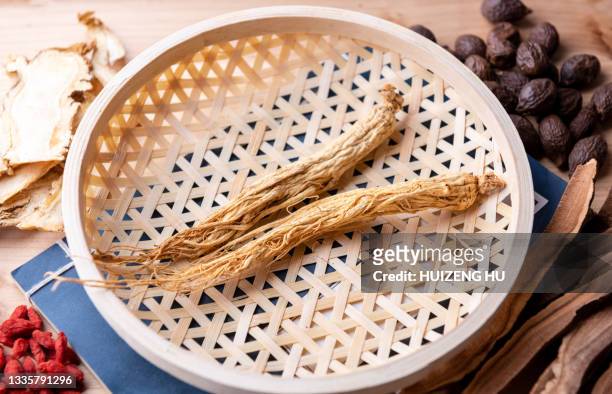 collection of natural herbal ingredients, ginseng, traditional chinese medicine - astragalus stock-fotos und bilder