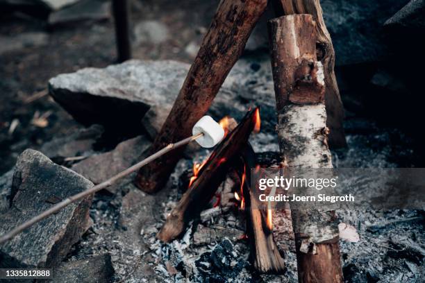 marshmallow über einem lagerfeuer grillen - lagerfeuer stock pictures, royalty-free photos & images