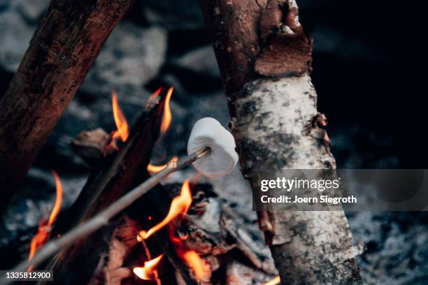 marshmallow über einem lagerfeuer grillen - lagerfeuer stock pictures, royalty-free photos & images