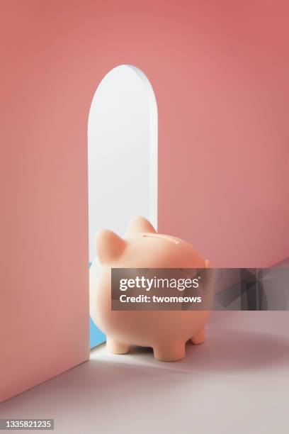 conceptual financial freedom piggy bank still life. - financial freedom stock pictures, royalty-free photos & images