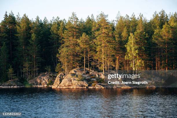 ein see in schweden im sommer - sweden lapland stock pictures, royalty-free photos & images