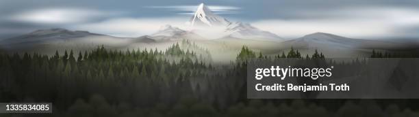 pine forest mountains in mist panorama - forest haze stock illustrations