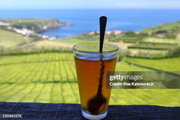 Tea Sea 4,392 Tea Sea Stock Photos, High-Res Pictures, and Images - Getty Images