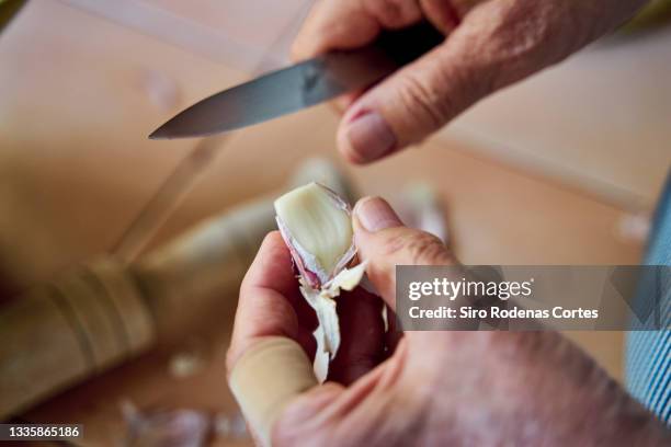 old woman's hands peeling a garlic clove - garlic stockfoto's en -beelden