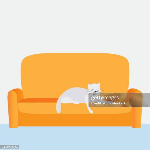 bildbanksillustrationer, clip art samt tecknat material och ikoner med a cute cat lying on a sofa at home - spräcklig katt