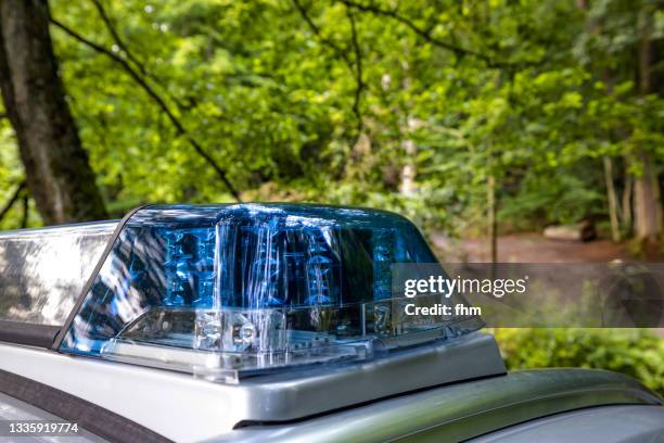 police light in the forest - police car lights stock pictures, royalty-free photos & images