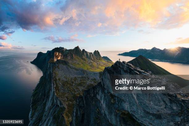 hiker on top of mountain peak admiring sunrise, senja island, norway - bergketen stockfoto's en -beelden