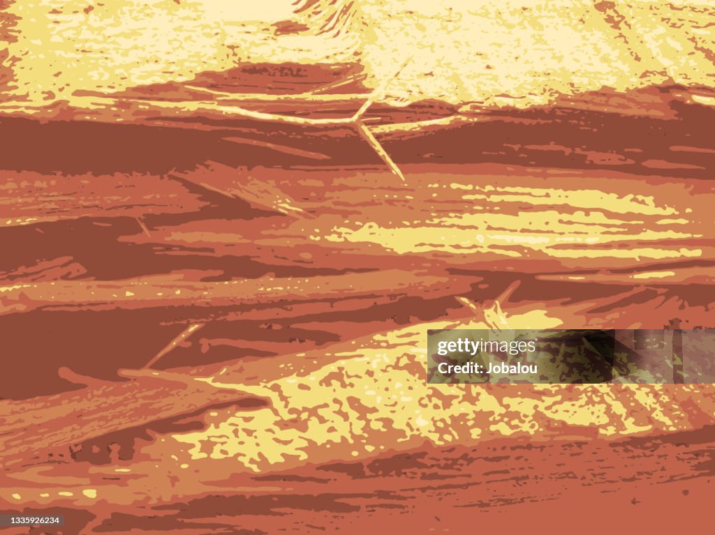 Vector Flaw Fissure Texture
